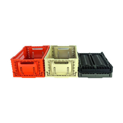 Gấp Giỏ Dã ngoại Di động 5L Sẵn sàng để Vận chuyển Tải trọng 6kg