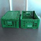 Thùng nhựa lưu trữ màu xanh lá cây 600x400x220cm cho rau quả