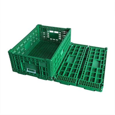 Chất lượng Màu xanh lá cây có thể thu gọn thùng nhựa trái cây di động để mua sắm tại nhà nhà máy